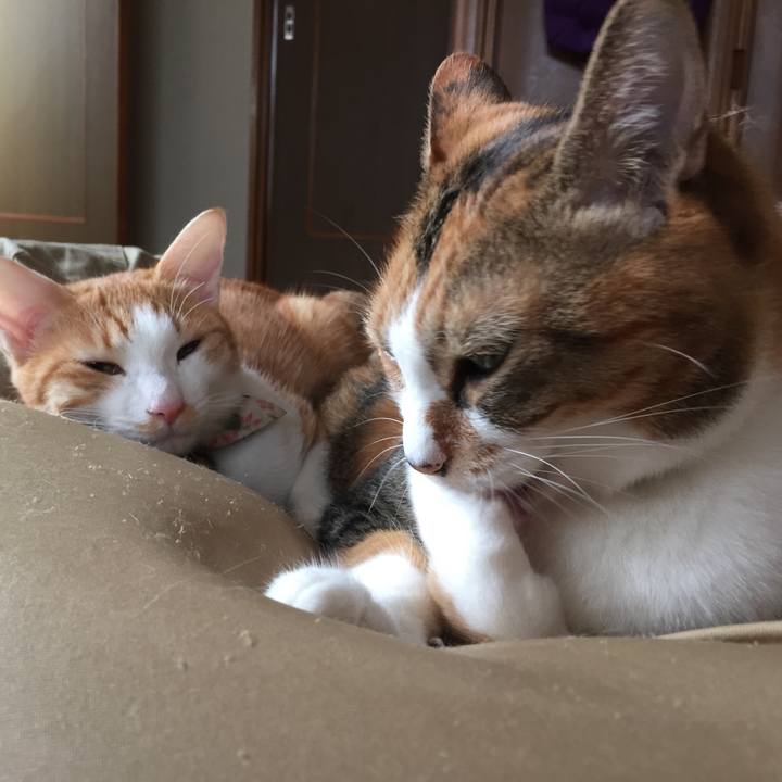 0eb48370 14ef 40f6 b5ac be9b4dc5a9ba