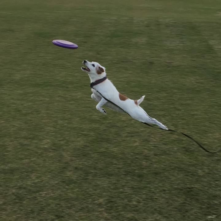 0eb4c63e 2ef4 48a0 8a29 0cb49fe24695