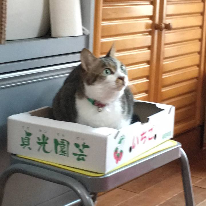 0eb4da01 5e71 4c66 8a8d 05f7eb4d7276