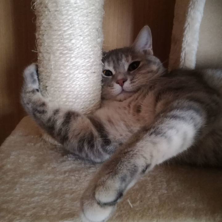 0eb56dfc c494 4181 8507 3293920b63ec