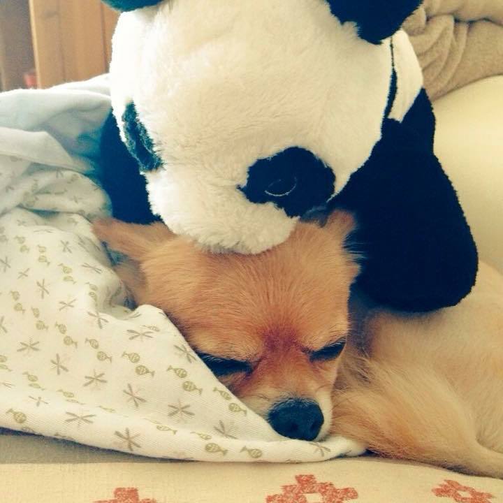 0eb5b156 fc51 4d0c 86c9 5d43c26eb734