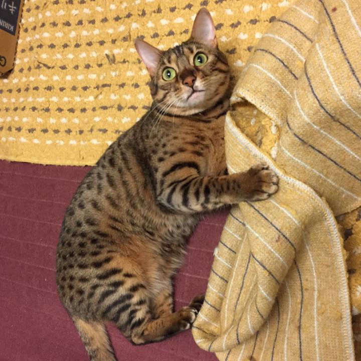 0eb6d974 9888 45e6 8188 27a28e4bf589