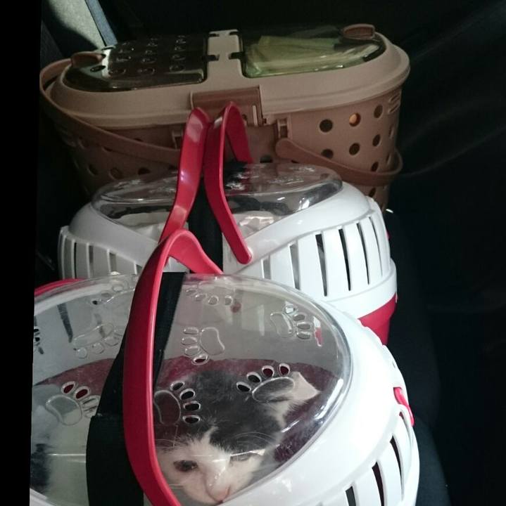 0eb76139 8c8a 4f79 92ca 1bebe4fb72c6