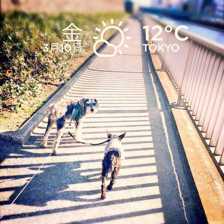 0eb9b7d7 c30f 4c35 b0be 12c591d2b5f1