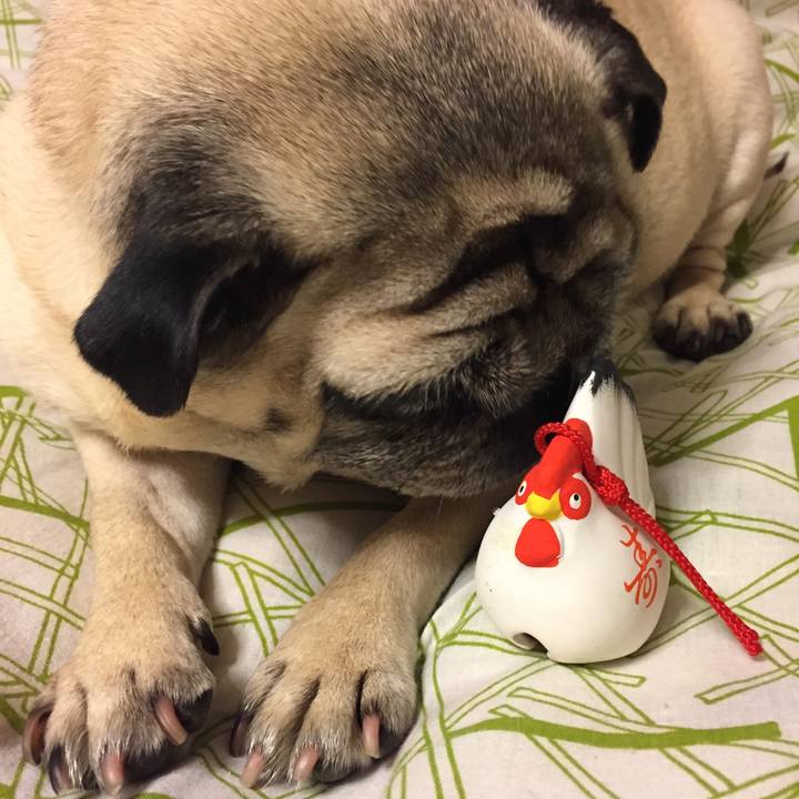 0eba3f44 9323 4b42 ad97 03578deb2a0f