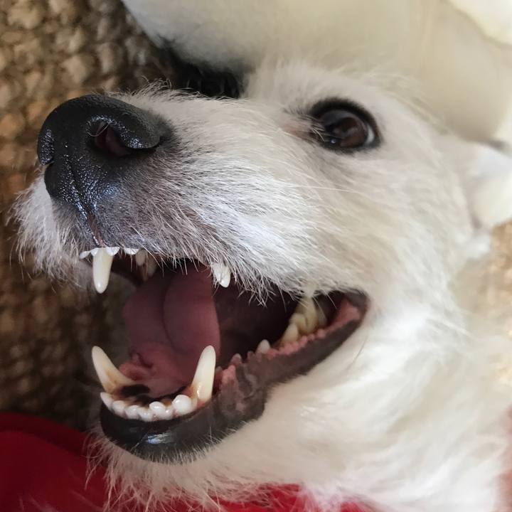 0ebab2c4 7296 4552 a100 52bbb6ac38a7