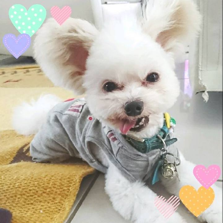 0ebb1bb2 218c 411f af30 f53a179b20e0