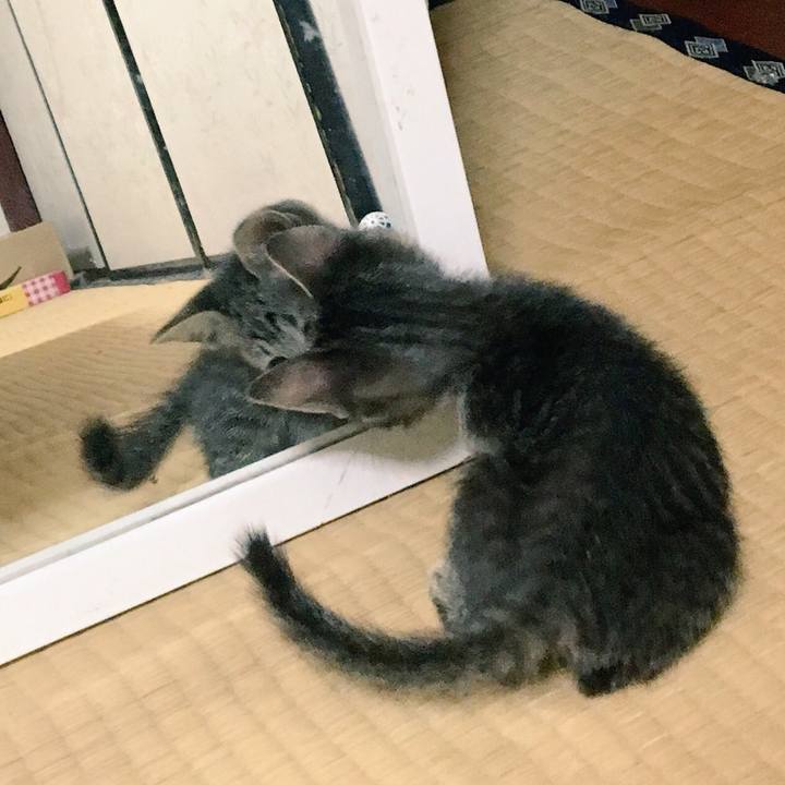 0ebb470d c060 463d af59 88239bd2821d