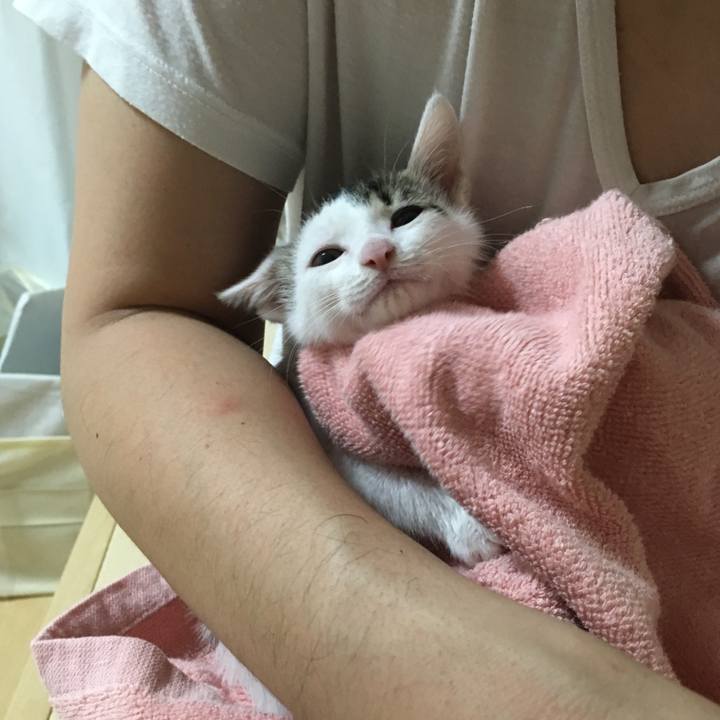 0ebc811e da82 48a7 ac93 66934012a7ff