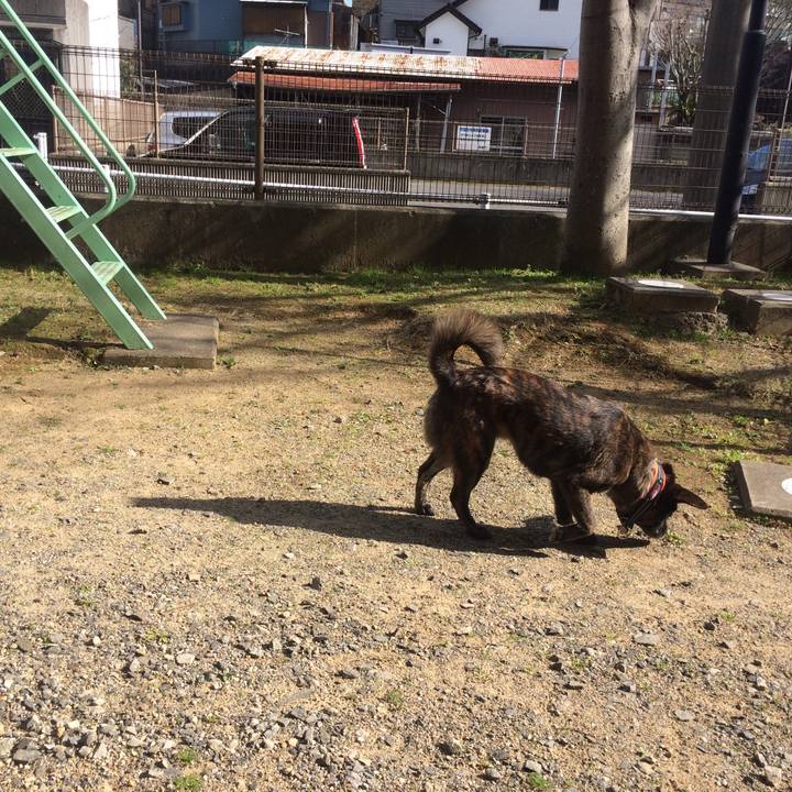 0ebc8bb8 87a8 43d0 bf90 65679192ecc9