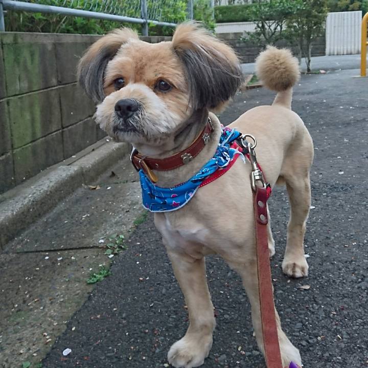 0ebc8eac 6027 427a bfd0 e3bbfae8f0fb