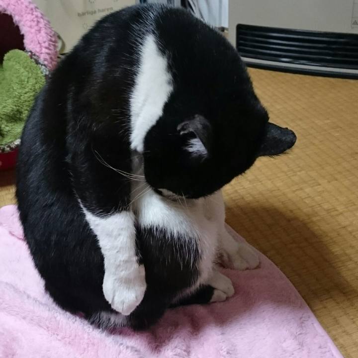 0ebcda58 c7fd 4691 8576 f42a6deead7f