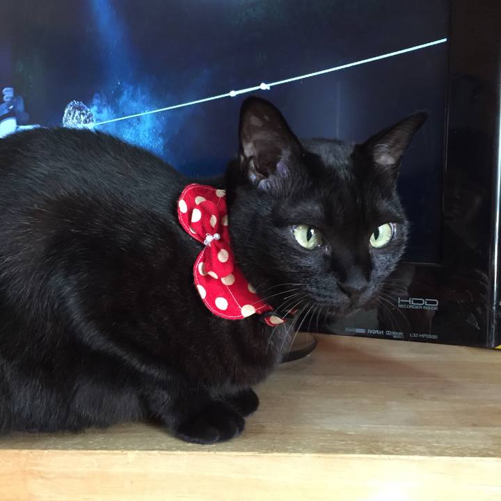 0ebd122c 77ac 4ee8 a0f0 6f246b8bf622