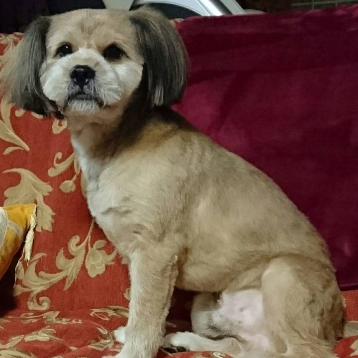 0ebd5980 eac6 4e44 8fb9 36ffefe4aa1b