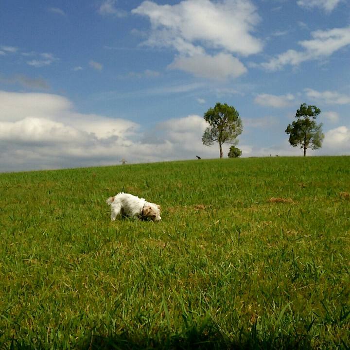 0ebdb89a 552d 4910 b047 6bd4abdc9a75