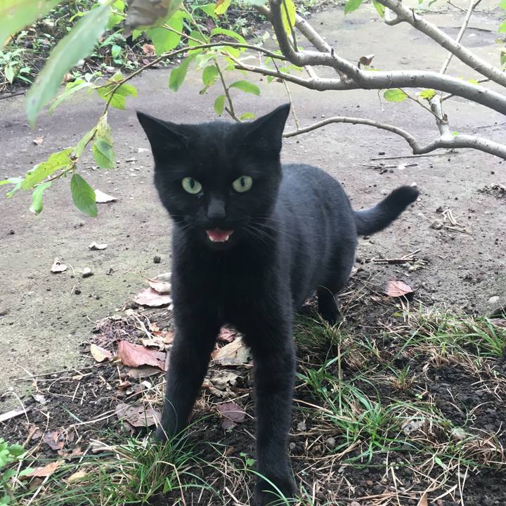 0ebde881 e721 44b1 8607 d265e9559cd8