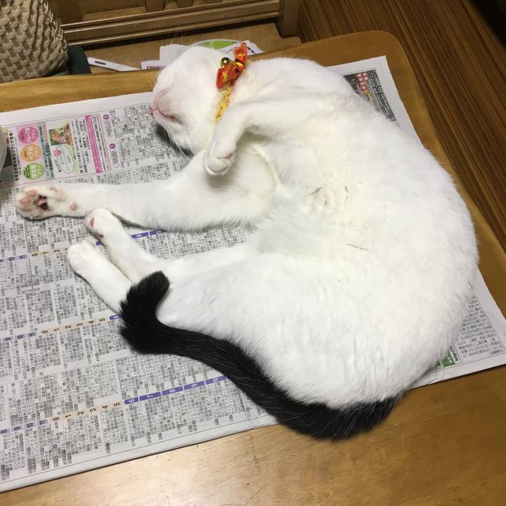 0ebe0a18 c389 4088 aaa7 671a4d7e9fff