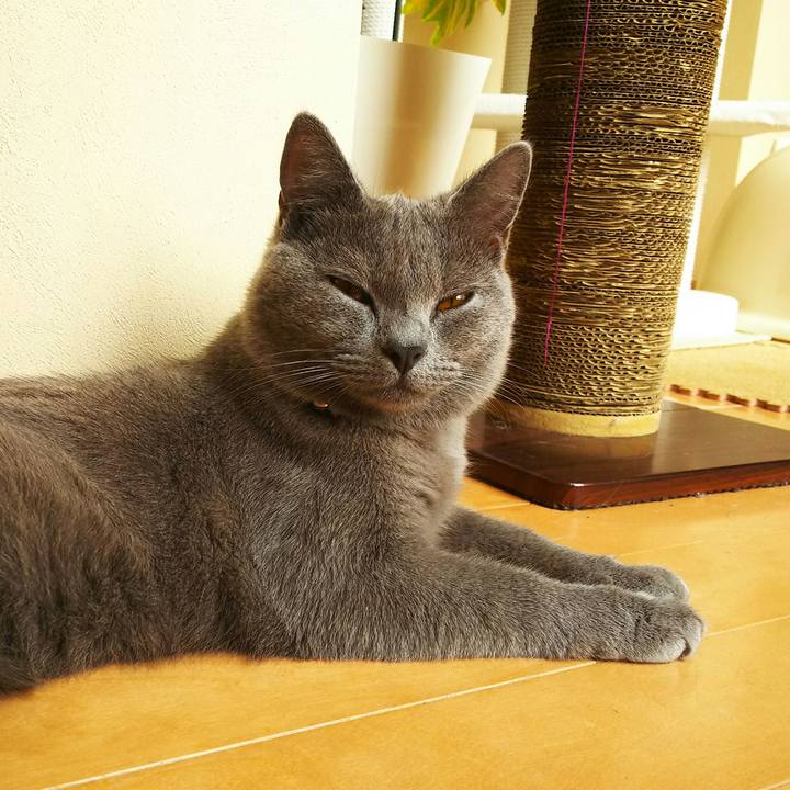 0ebe10fb 2471 4e9a 9e4c 195ae6d3a131