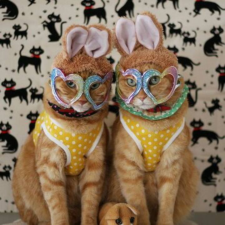 0ebe5c89 eddd 49c8 8d18 b5e475efec68