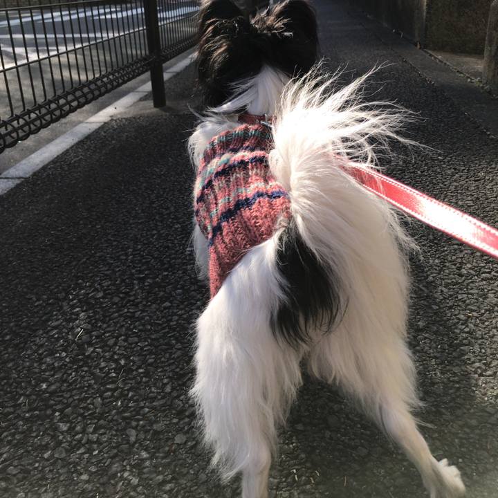 0ebe8f7b f702 440b b493 91bce30e9f9e