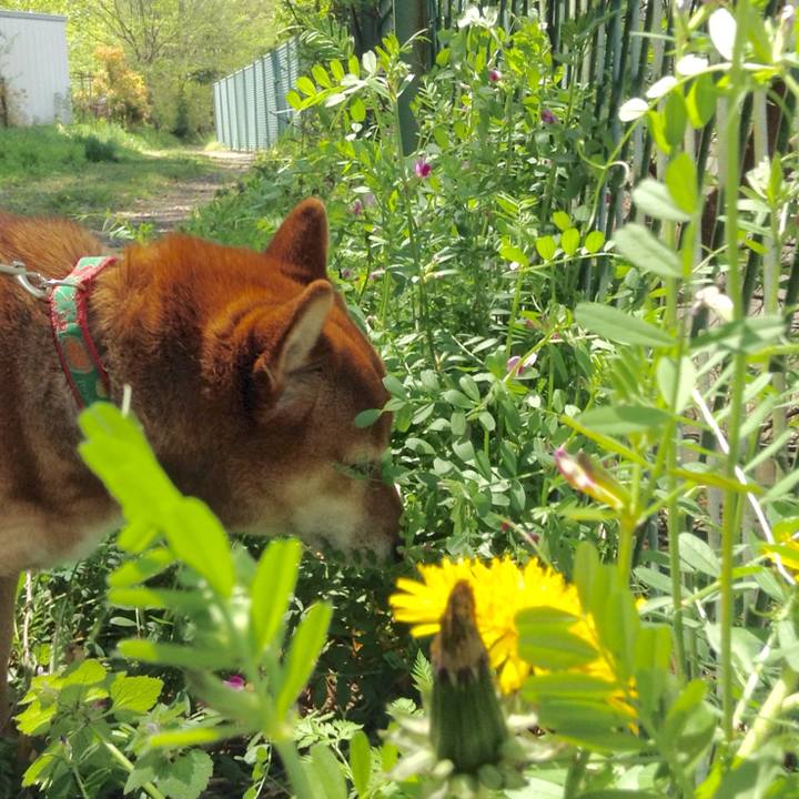 0ebedfdb d585 4389 acfa 2fc13f395999