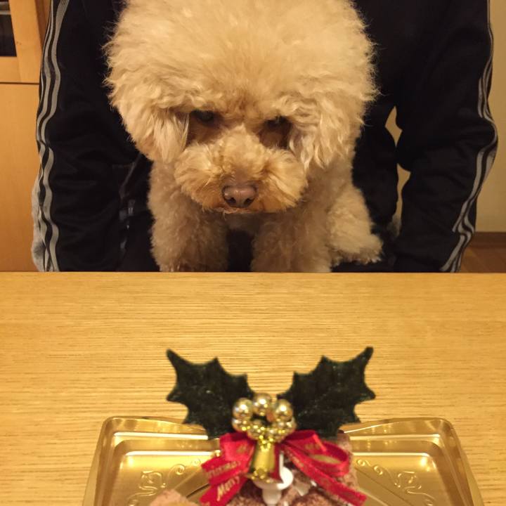 0ebf5569 434f 4c98 b00f f72200cf1a9d