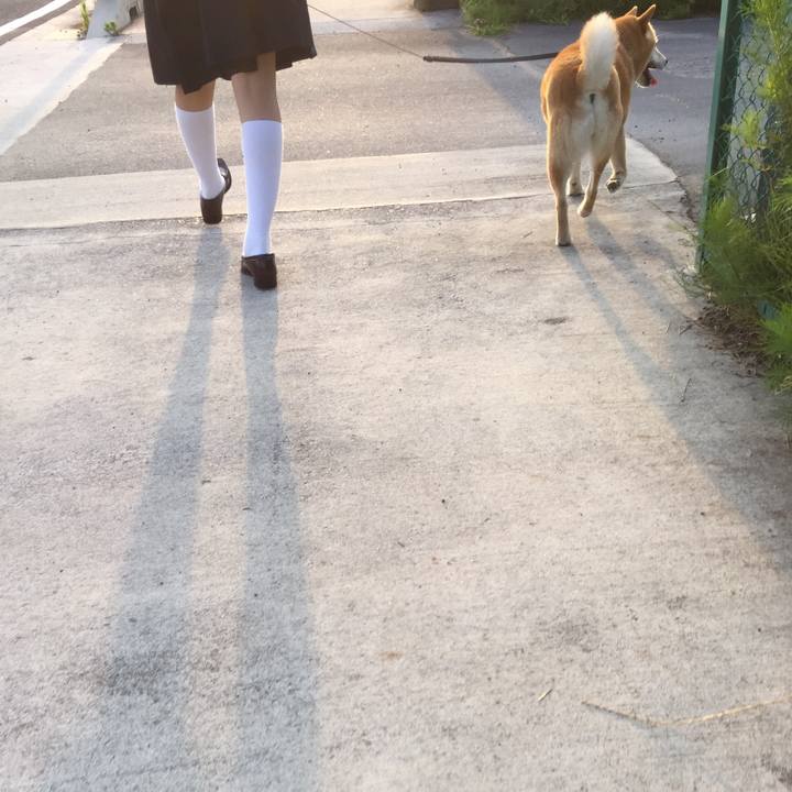 0ec11f42 ff9e 4e6a a048 7a9c51714398