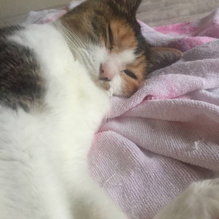 0ec13706 d5f3 4a8f b67e f1af8e6abad3