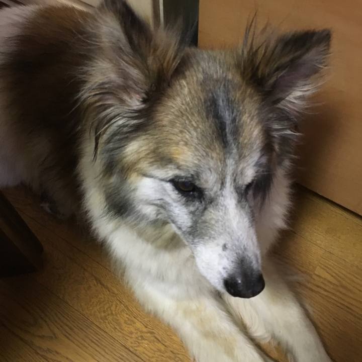 0ec220ff 1da5 4be3 9a95 1da7fb93d74e