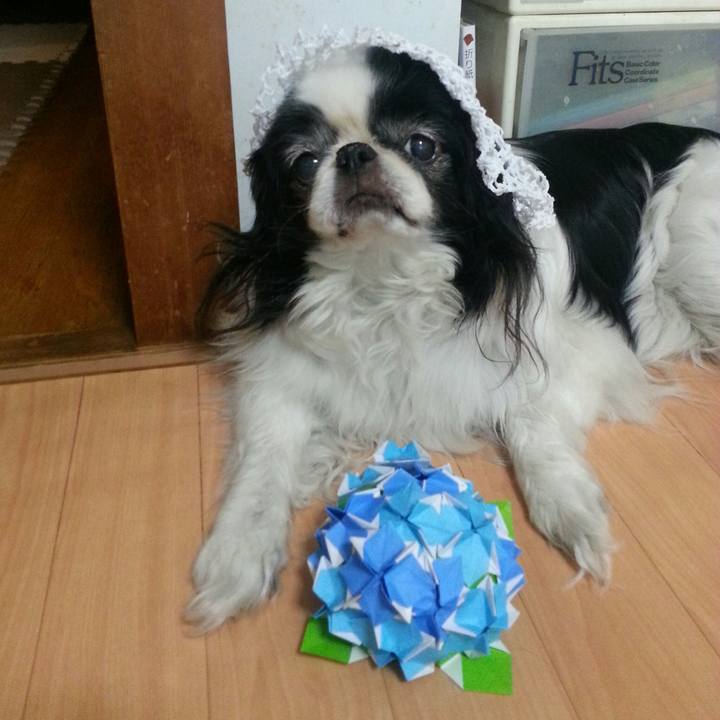 0ec242be 99af 4d9b 9c72 99706cf60c38