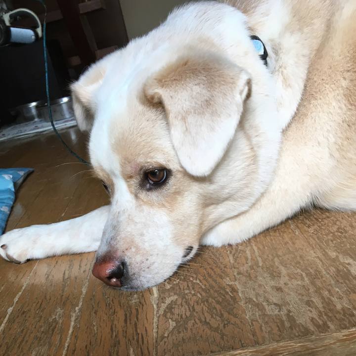 0ec3429d 3bc4 4137 a985 36e4119be8f4