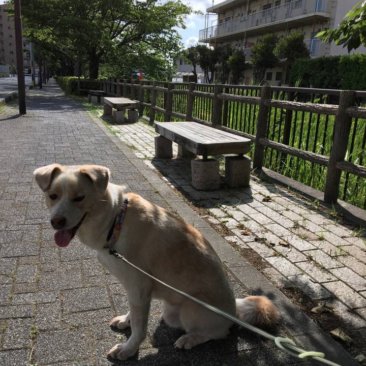 0ec36930 648b 41eb ac4e 3aacc4ad485c