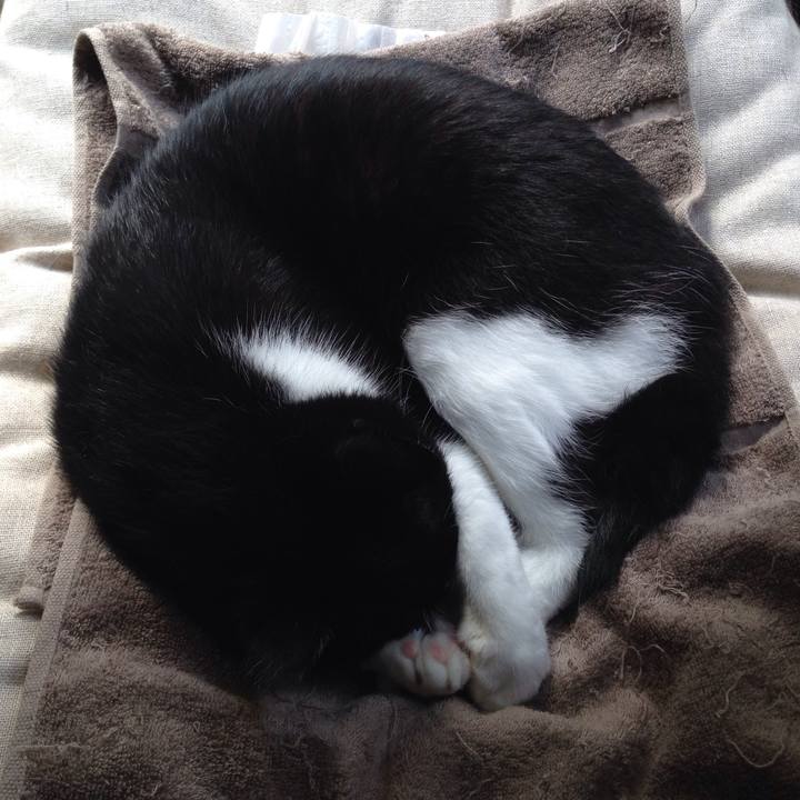 0ec39447 bddf 4d78 8c22 ffe23ceedb2d