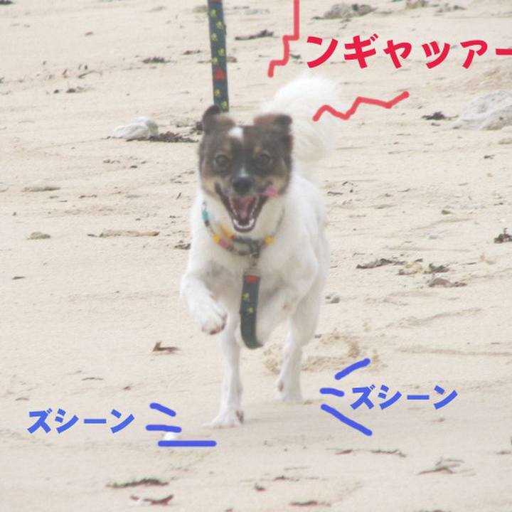 0ec59bf0 d632 4ce6 9ce3 04fdf3e5629b