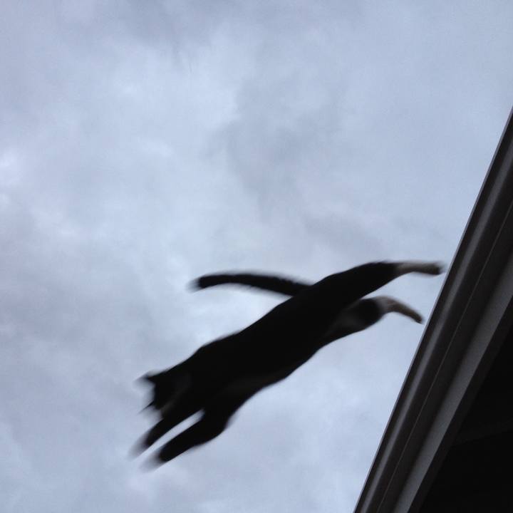 0ec5b912 f826 48dc 9a97 01a6fd21966e