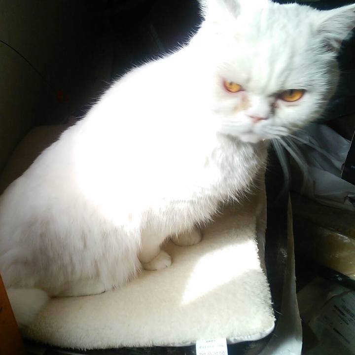 0ec5dec5 c9b0 4948 9182 0285405a5e78