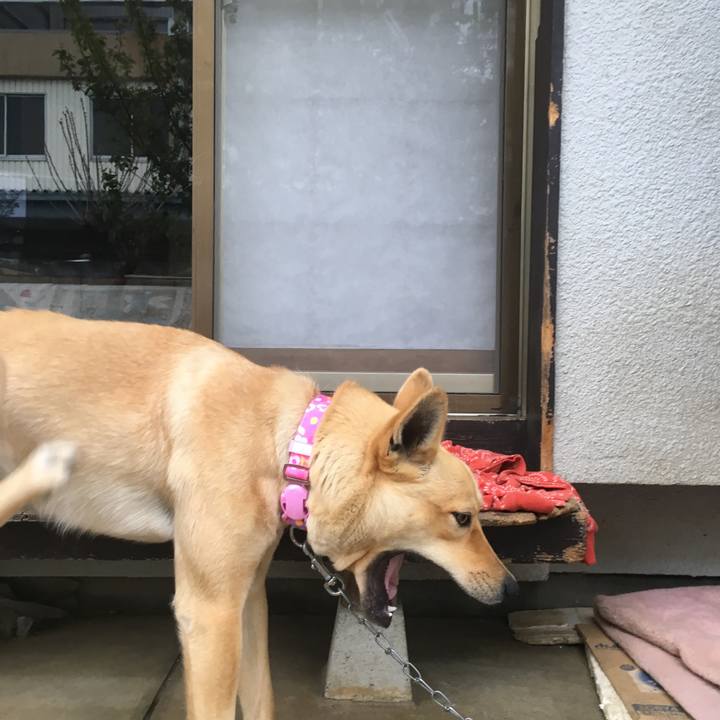 0ec606ed 566d 4c32 8eff e7be8788c1e1