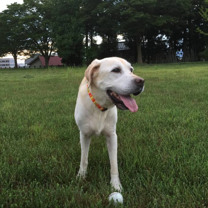 0ec633d6 ab38 45df bb8f 8939eac826a8