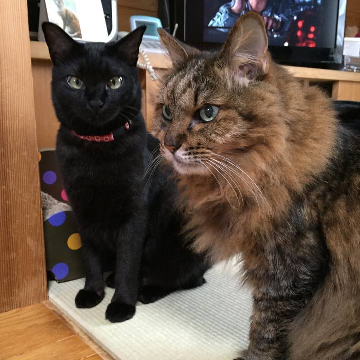 0ec63449 f6a0 43e0 99b4 1a8cc7743af9