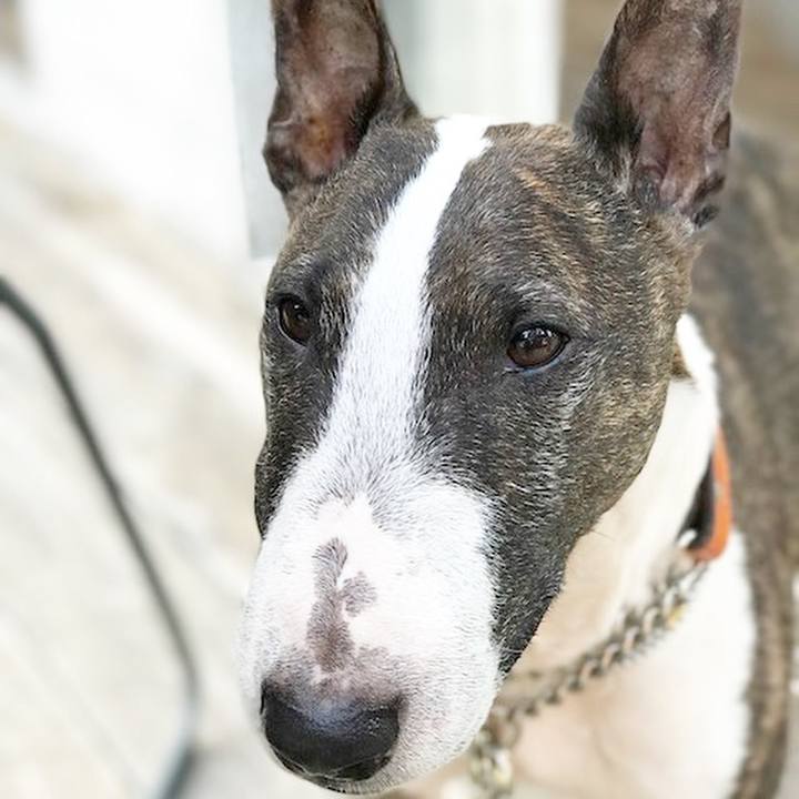 0ec659ea ee66 44d1 a0ef 4655cc2fe005