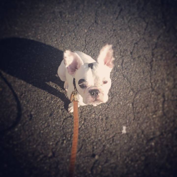 0ec6c226 abb3 4f8c 89c1 48211b4c305f