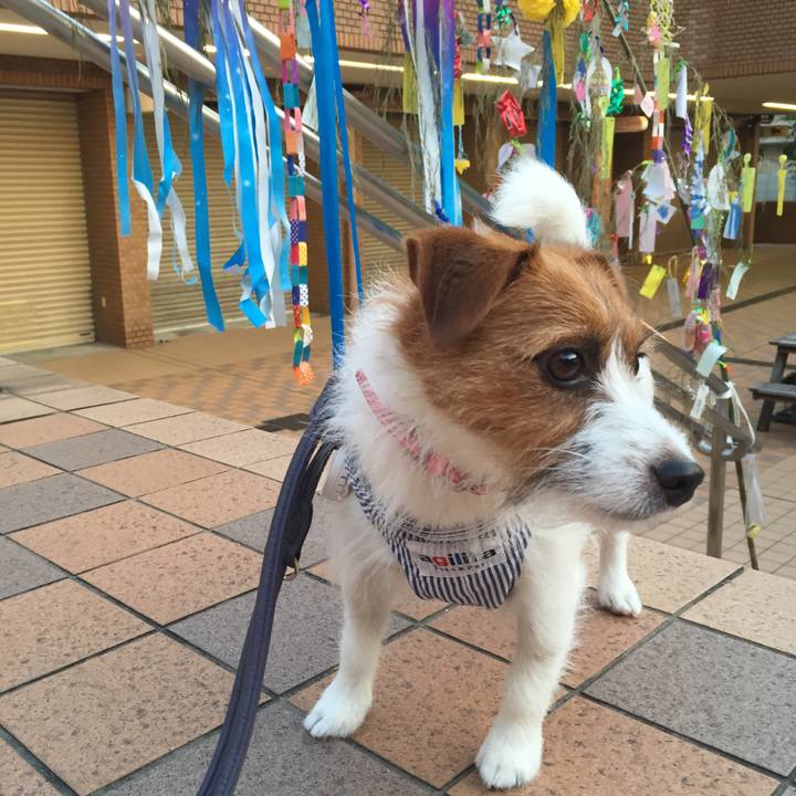 0ec6ceed 9fd4 4276 ae76 26e6dbc6554b