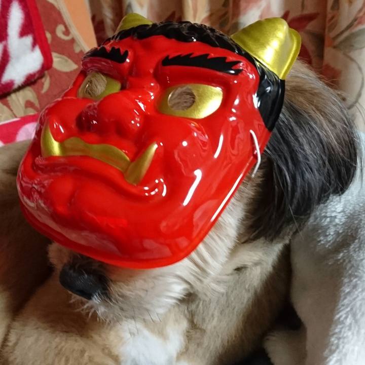 0ec6e1d1 8772 41a5 b741 a7db8ea32bc0