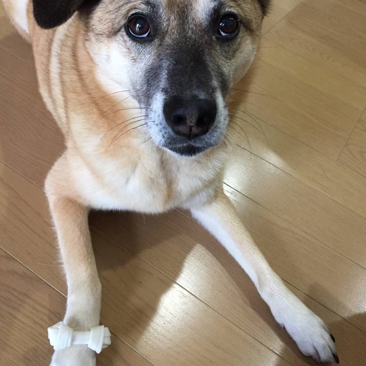 0ec6ebe6 6952 4189 838d 7d64cf8d8f73