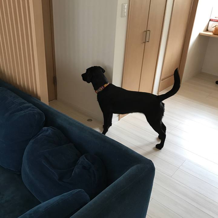 0ec84f40 afdd 4948 bf5b 8a41c494f165