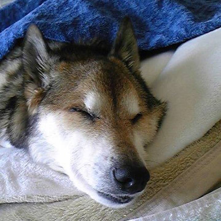 0ec9cfcb c271 4bb3 977f f5f1ac2912be