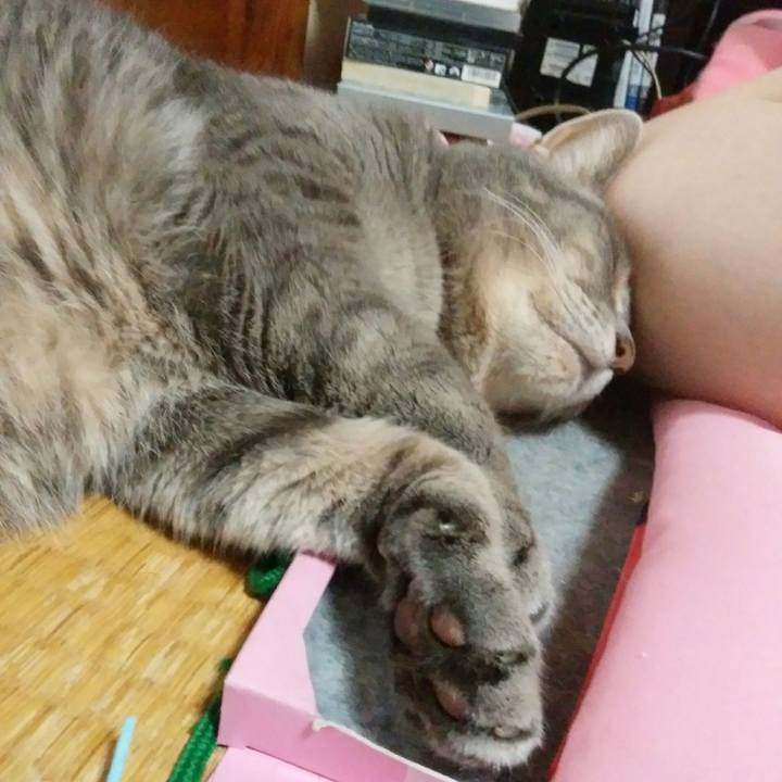 0eca08ba 8bf2 4a71 9f36 a1fe226c7ce8