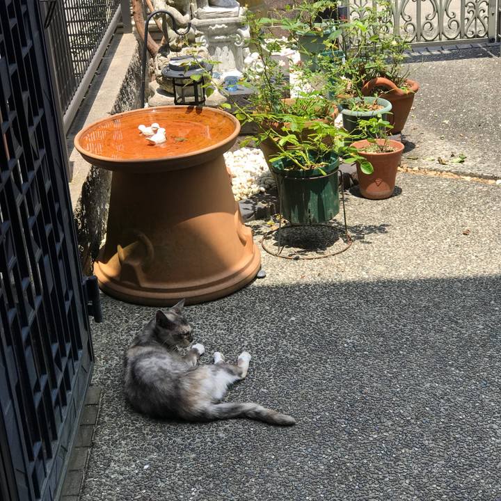 0eca3e1a 3a0b 4c52 ba8e 5488996ee1b0