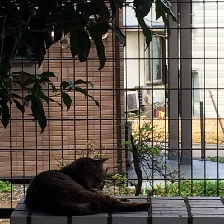 0eca4e44 92e9 4b2f 8d06 0aacb8976146