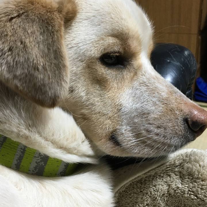 0ecacc51 6efd 4b6c 8883 f4c221d50a8e